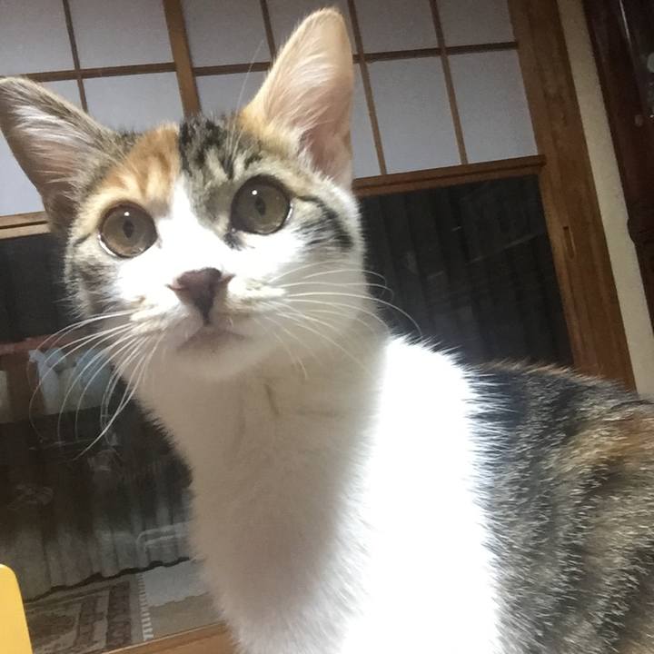 57dd4e69 b33b 4970 bd1a 3749c3918da6 1638345369497