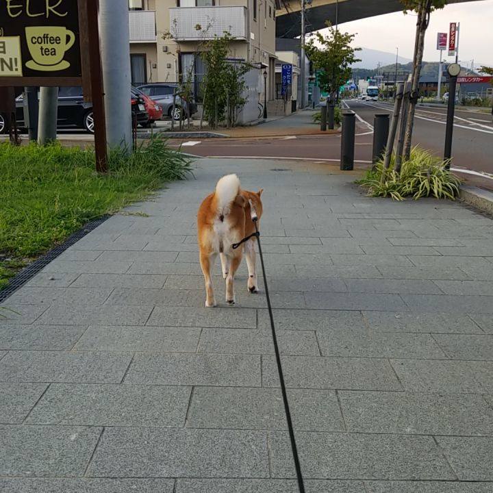 57dd8583 77c1 44ed ab6c e72a0064a2b9 1568543653454