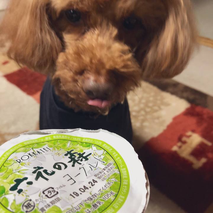 57dd94ad fede 494a 9976 7f5db3033a68 1555151134937