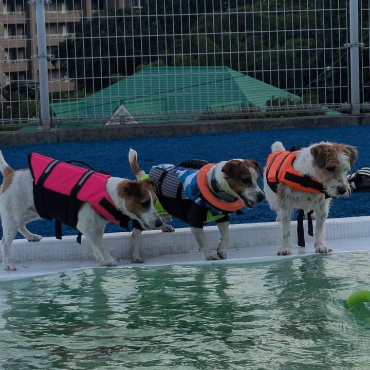 57ddb8fd 463d 4e70 9c1b 8b848404afb6 1725578555193