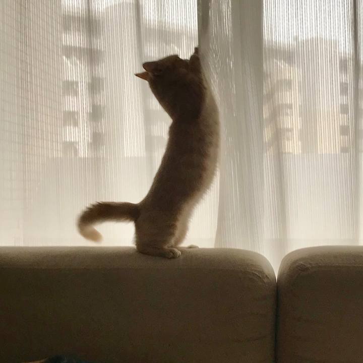 57de201b 80d7 432a 8c0f 414aca5de59a 1530157782074