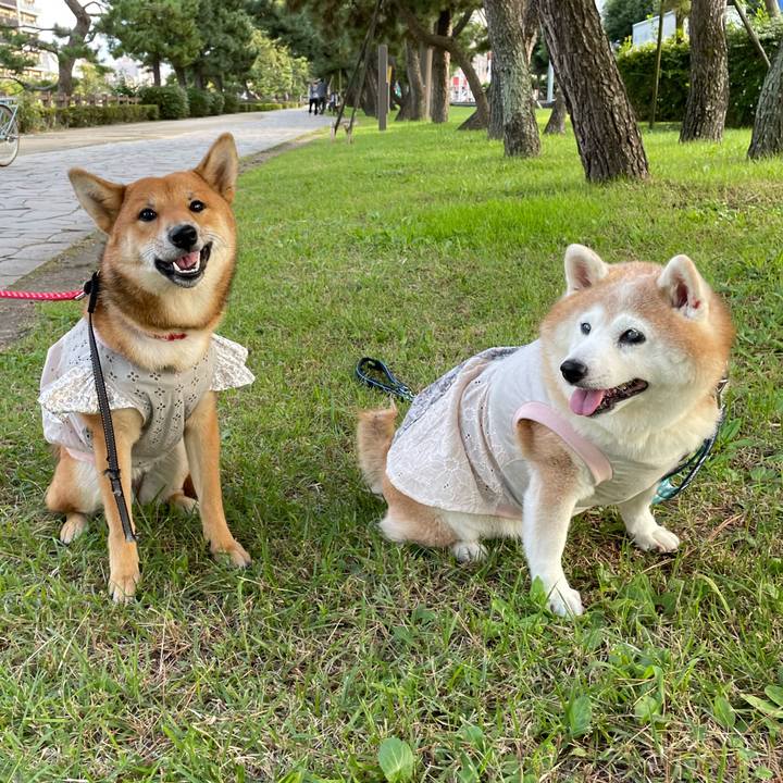 57de8468 423b 4e14 a1c3 c2ac18e37c19 1666021176703