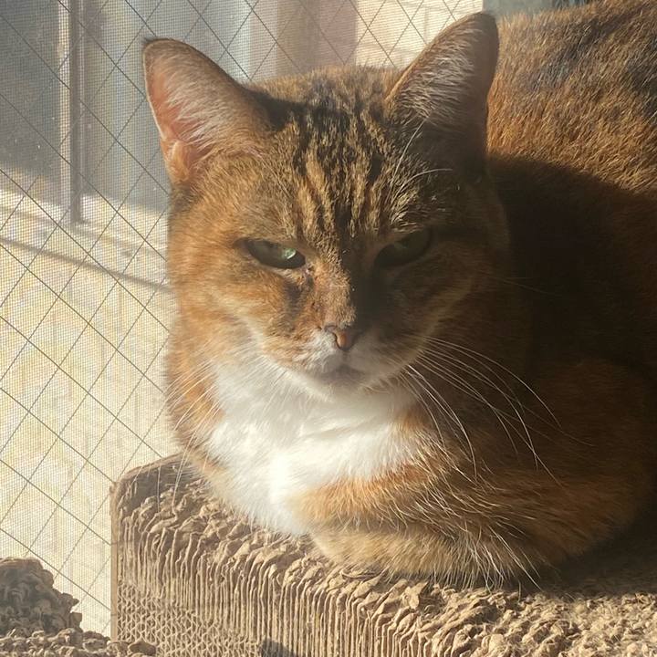 57debaea 3d08 4bde 8015 5732540359f7 1731121226627