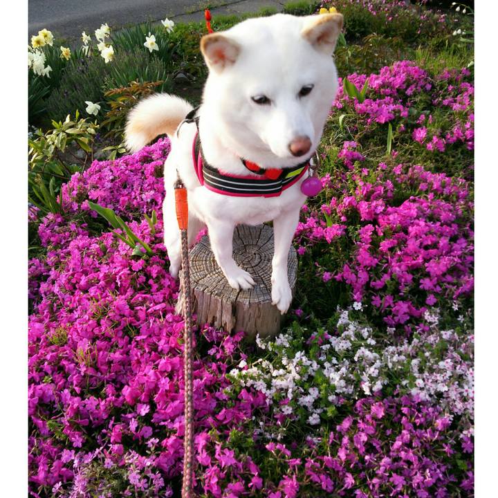 57dec936 5545 42e4 bc3e cafcfa43131e 1556444685123