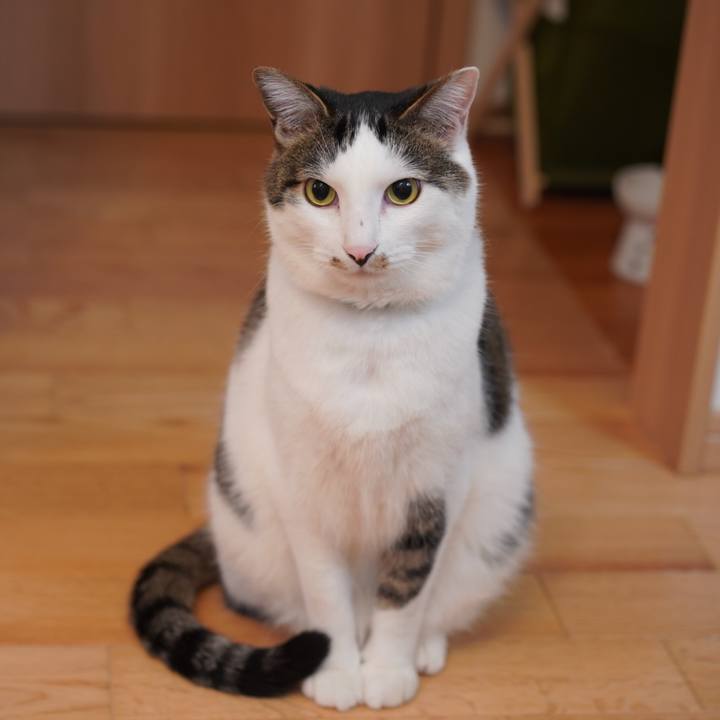 57df0a2e 4a79 4330 ac54 d3cbb51dcdbb 1619833293415