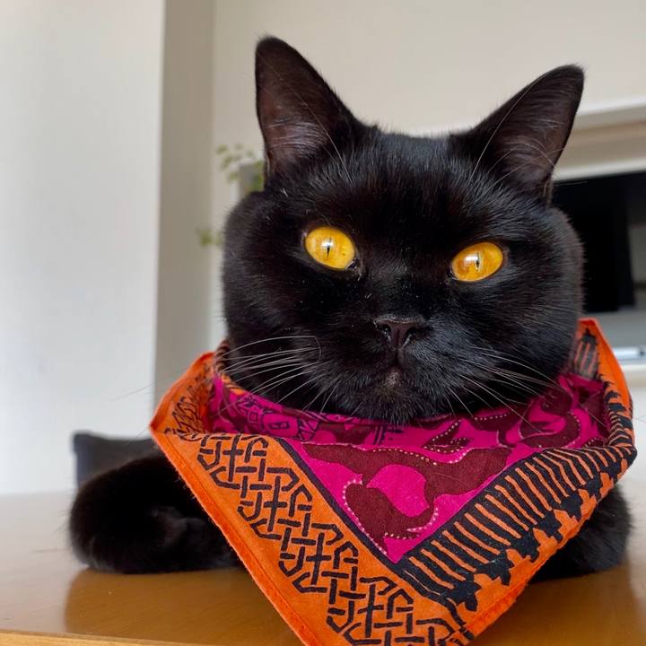 57df2d34 22a5 44f1 9498 4c6c4dba6fdd 1602714310237