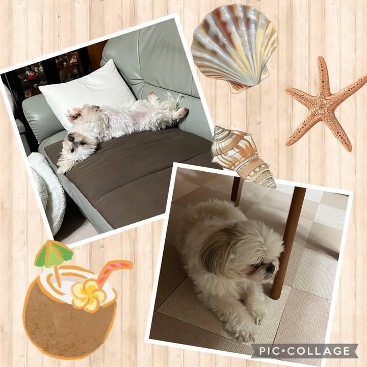 57df3426 93be 42d6 97e8 f93ca17e6d52 1723545696528