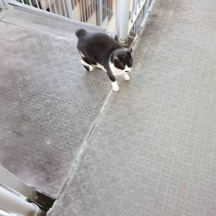 57df387a ffa1 4d7a af08 0cddc9d1de9d 1667884291156