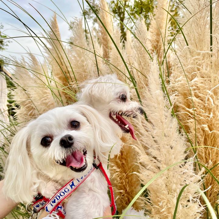 57df7385 fb39 40cb a601 03e018f89e3f 1632293700458