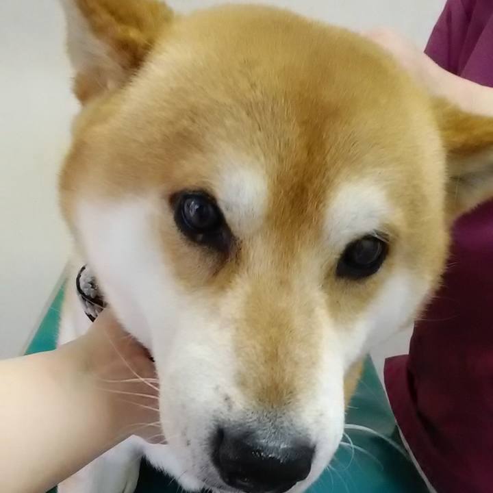 57df8734 b114 49eb b41b 5b7a7770e0fe 1589273013267