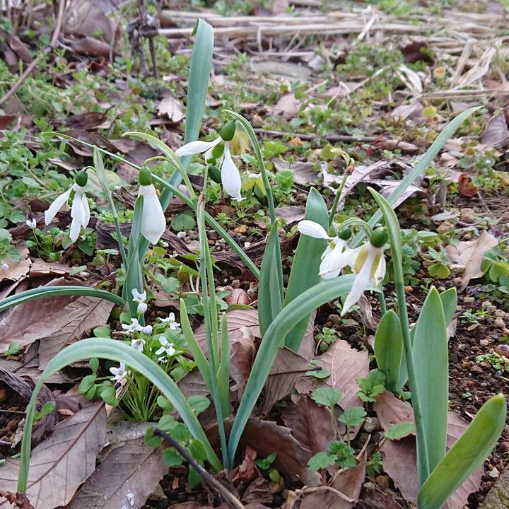 57df8d94 448a 47d2 a9f6 b3e24fdd5a24 1582718880563