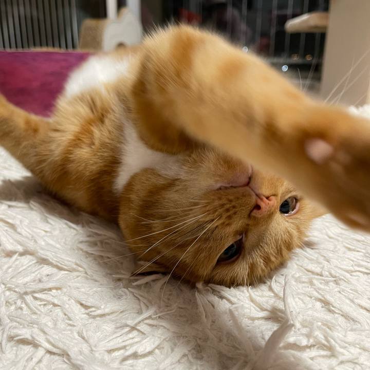 57df934d 86a5 49f7 a3a4 2af7a202d064 1702208015815