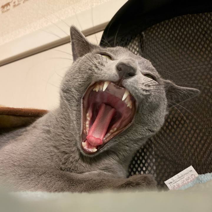 57dfd21a febb 4425 8e65 deb1b0fc9e11 1634557387613