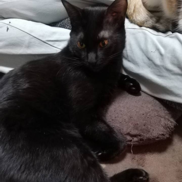 57e02e2c 93a6 4b9f bf2f d9f24972f409 1609799286222