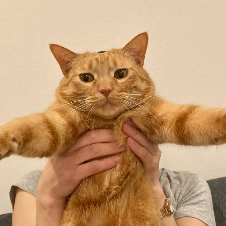 57e03471 3751 441c b57d 2480a9f1b7e7 1617106298298