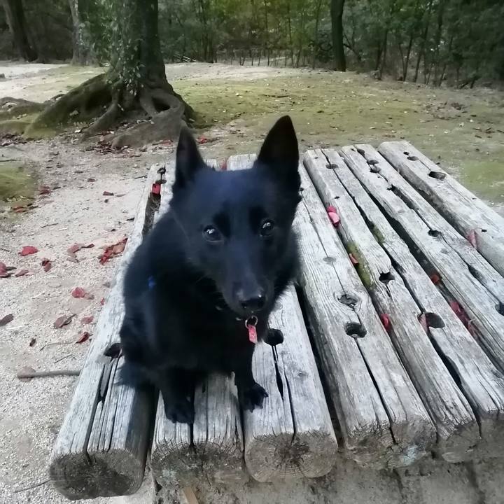 57e03de0 a602 478d bc2b 286dda55003b 1604006181422