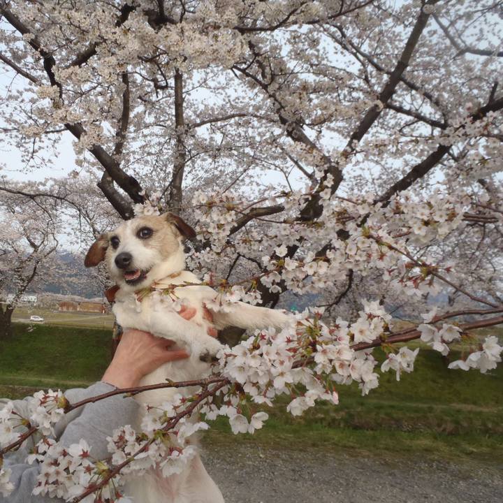 57e099f5 65b7 4e14 8e50 ab9c9d25bbdf 1555330087407