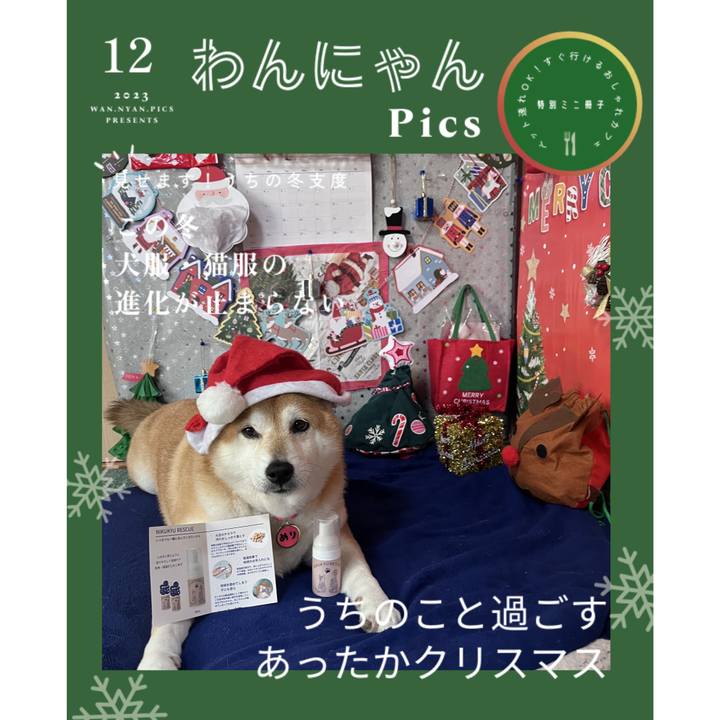 57e0addc 4d2e 4872 99ae 8303ce9b0f98 1701763226469