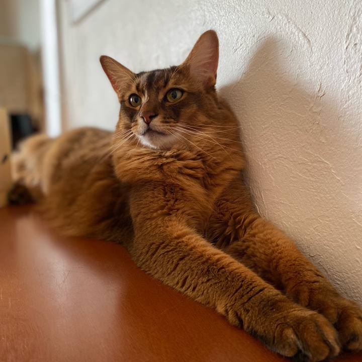 57e0cc6f 85e0 4a08 a369 623e0c6132a9 1663415888980