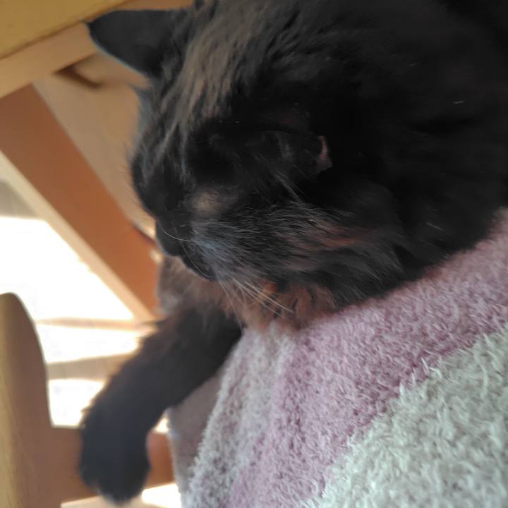 57e0cd64 366e 46ee 9d98 f8161bf1518e 1771651151425