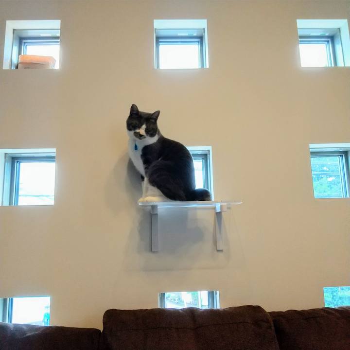 57e0f7e7 8fae 4aca ad96 20944d2963fd 1624689081664