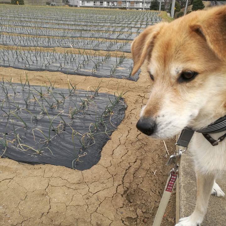 57e100e7 f528 49e2 a245 9f69afb917da 1517455668631