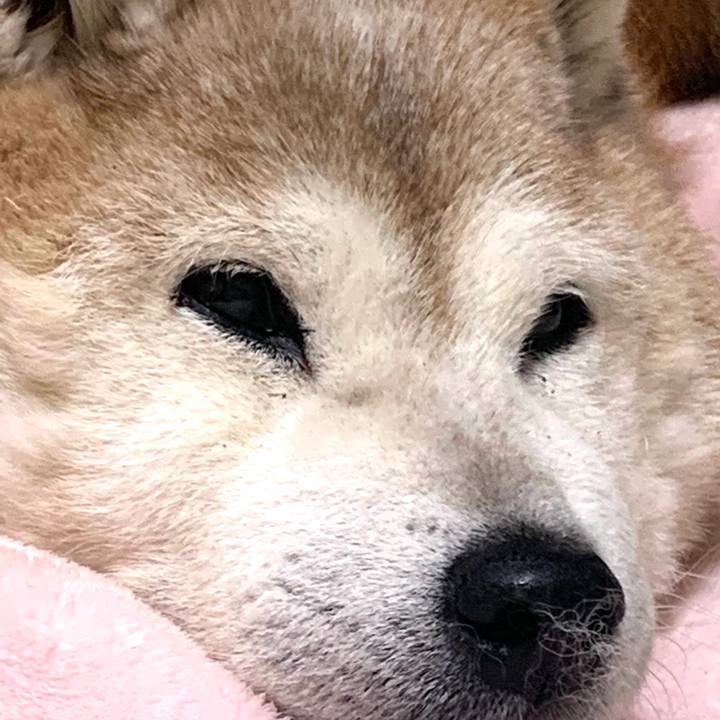 57e152b2 db84 4791 b0a0 64c37a178d3f 1670853282474