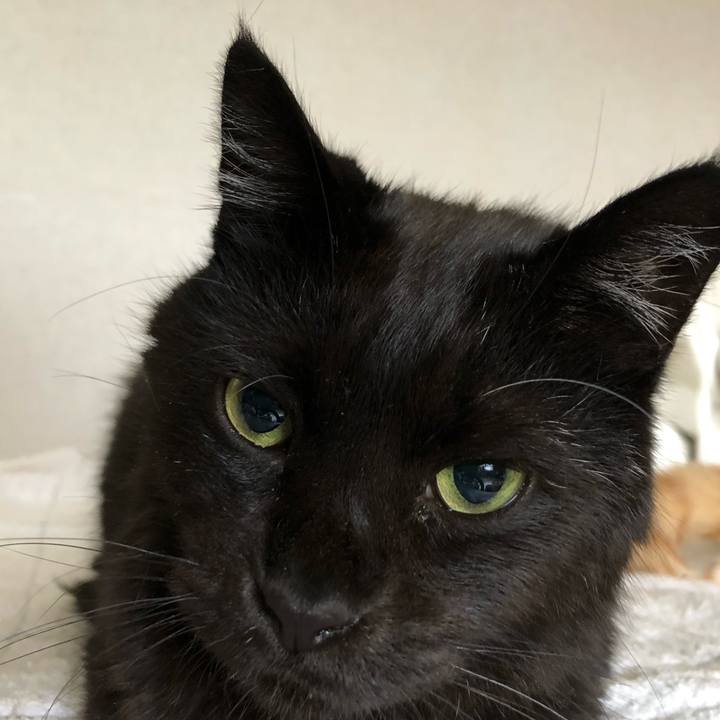 57e1557a 75b7 417d 8b4f d8799088d4a7 1594430895135