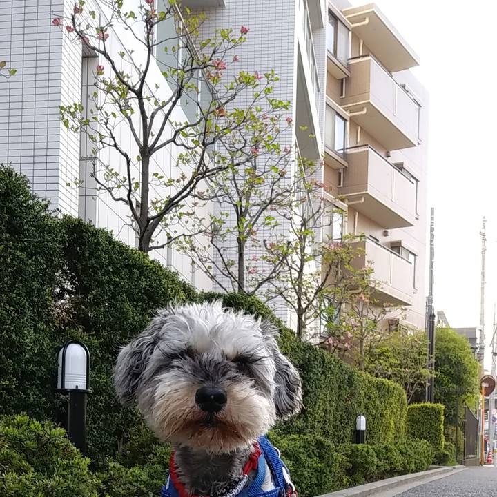 57e15fca df56 4f7f 984a e787d20309ae 1649908835634