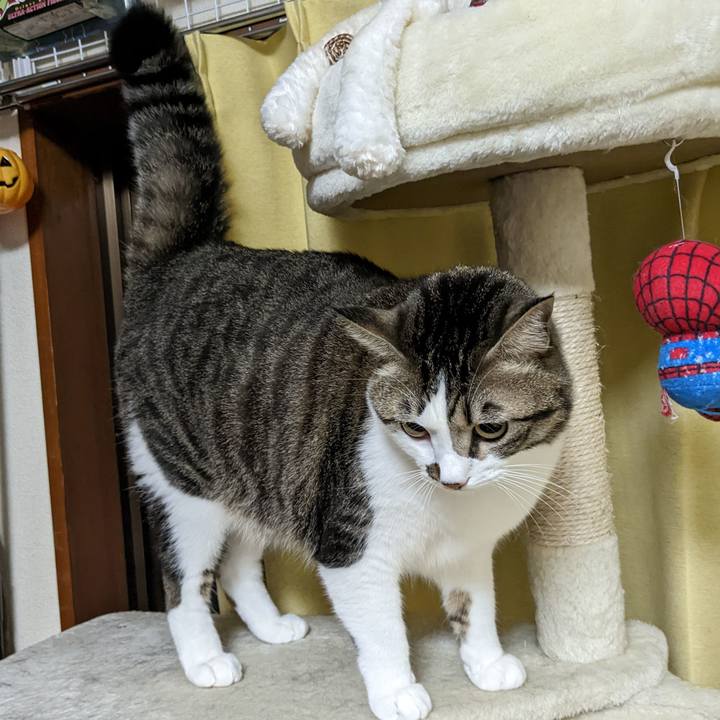 57e1afd2 5e9c 4cd3 a99b 4111a75e0cbe 1669725843053