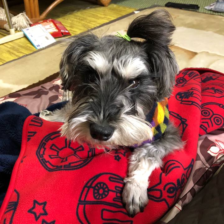 57e1c050 638e 4d80 8d08 a72192cb3092 1518234980390