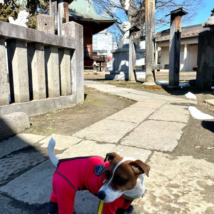 57e1d0f1 2a84 4f1a 9ed0 6a1ae01f1a2b 1645784015173