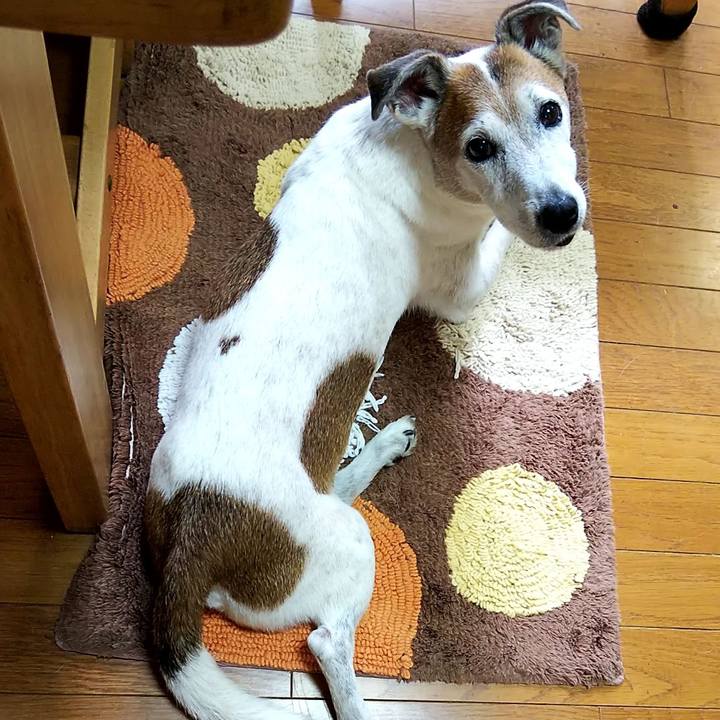 57e1eec1 1d7c 4655 a77f 333d36702355 1561776751043