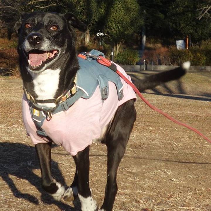 57e24d04 ab86 43cc a8ca 838436fdd5f6 1705020637086