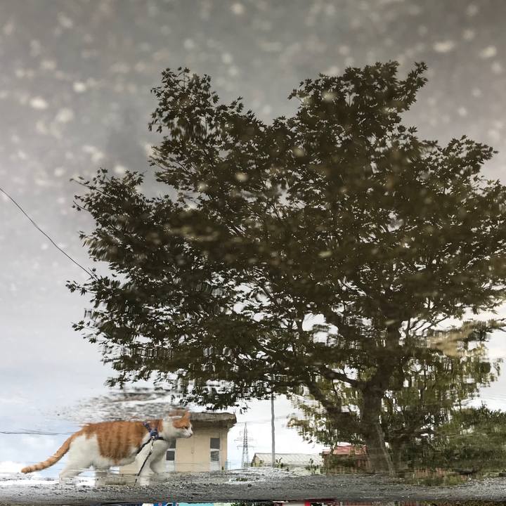 57e26b2c 5f00 4110 9a09 692c0d35101f 1507971500477