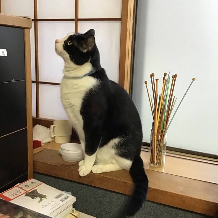 57e27490 6420 43ab 94cb 80d64b622ace 1728631039464