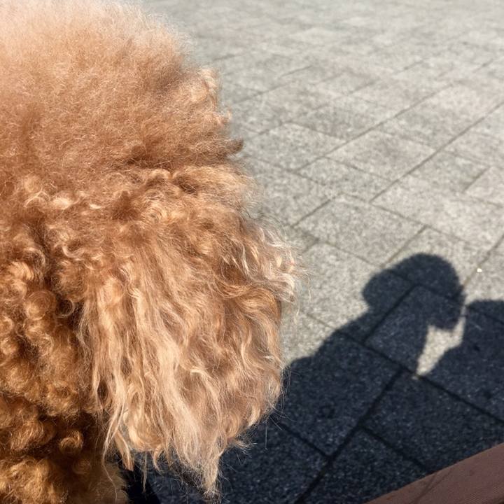 57e27837 63df 4a53 a69c 12ec1c4e7db7 1551798695795