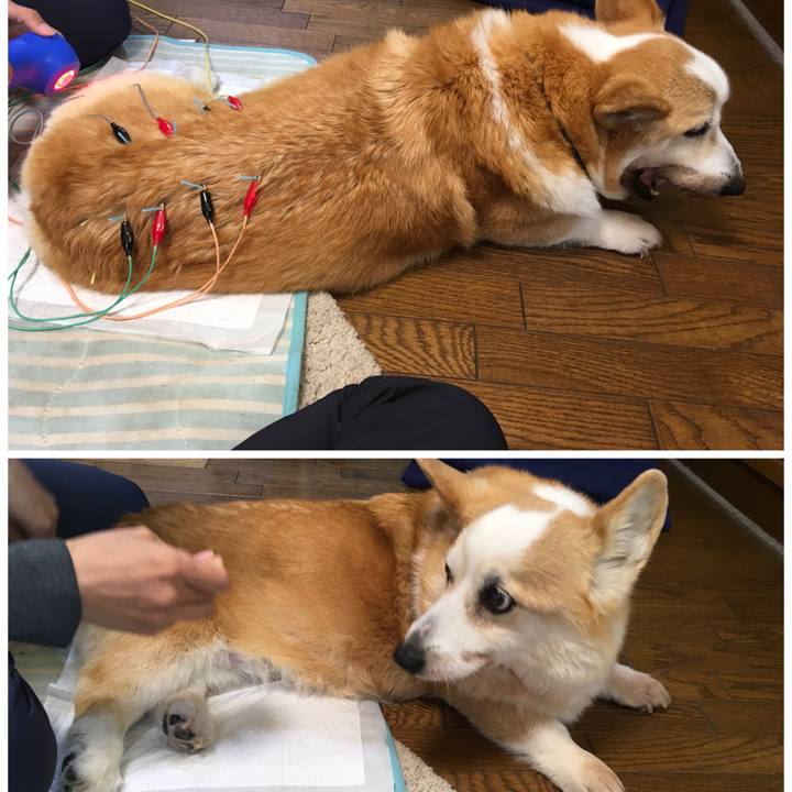 57e2cfee bb17 408a 8efa 8de3e532de3d 1557293000560