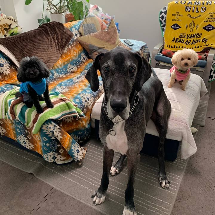 57e2d0f6 1592 4971 868f f22531d74d39 1604011332557