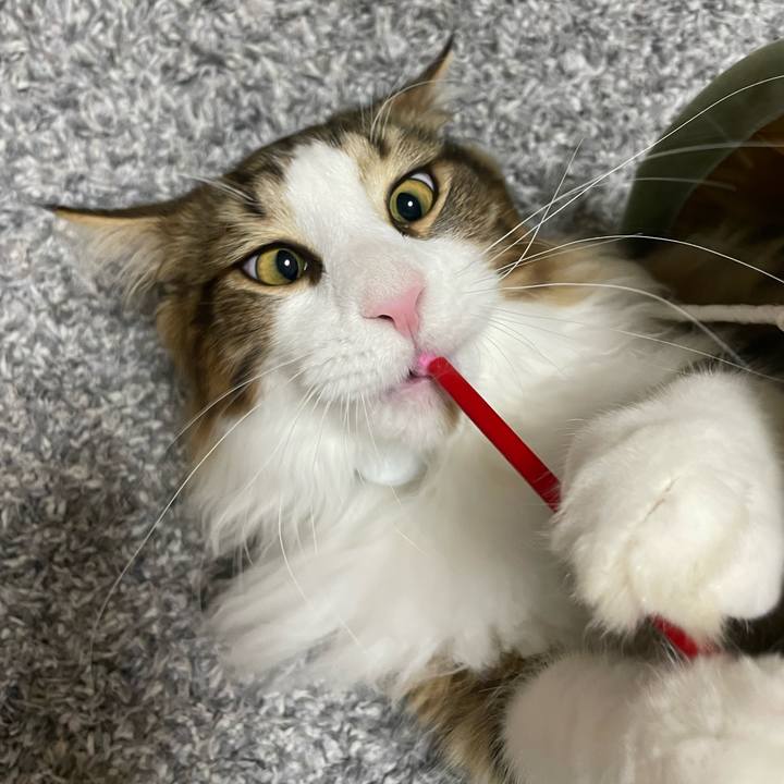 57e321e0 cd20 4793 83d8 a31365240436 1644437450692