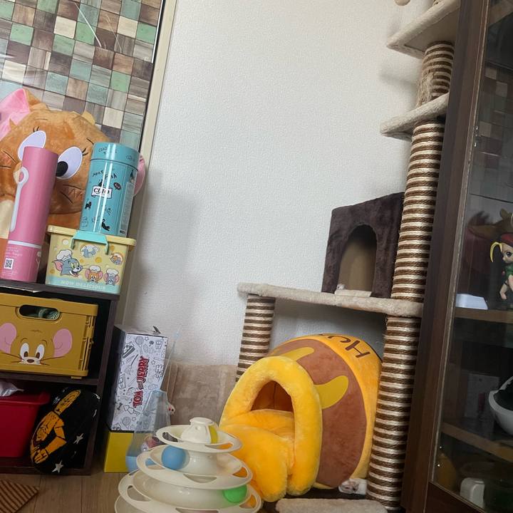 57e37900 2972 453c 9e74 0e319cb17e42 1691219416327