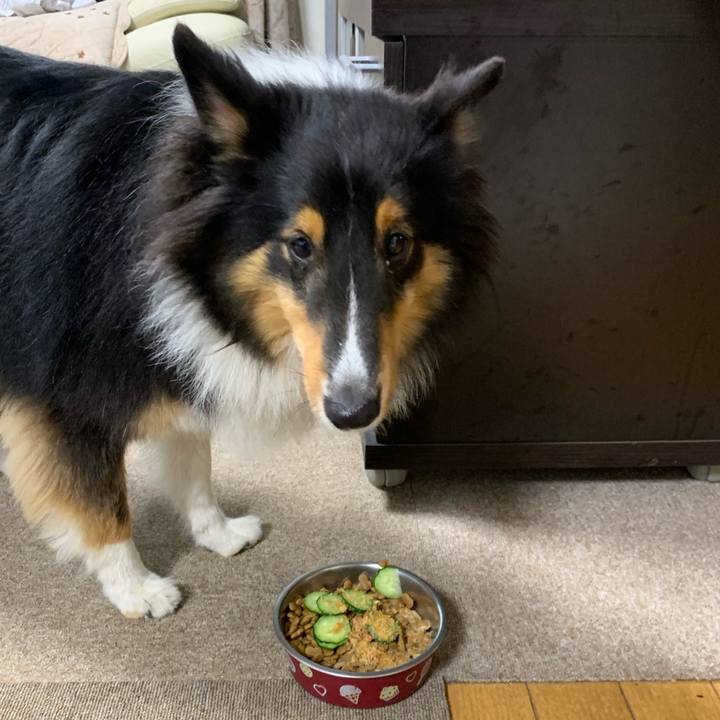 57e3abd7 4305 451f 959c c69f438f475e 1570140611848