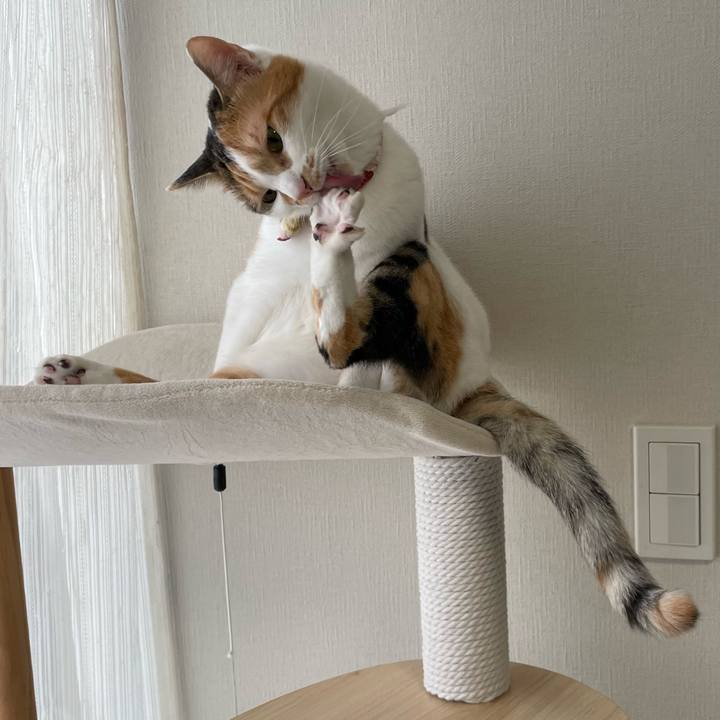 57e3cec5 3897 4337 a06a 4ac4a82c5b09 1637206312201