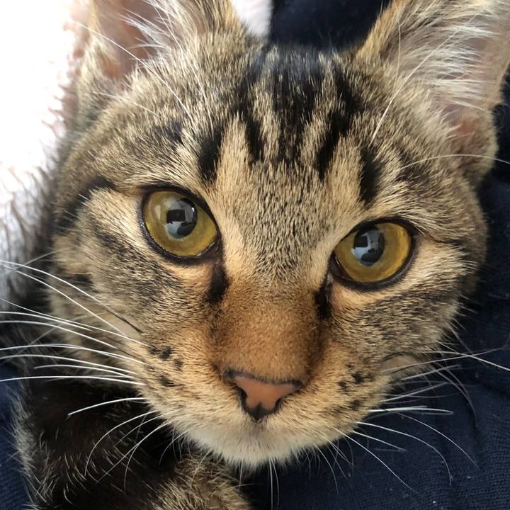 57e3f46f fb19 4d2a 8b9c 30cfdcc20b26 1735187205471