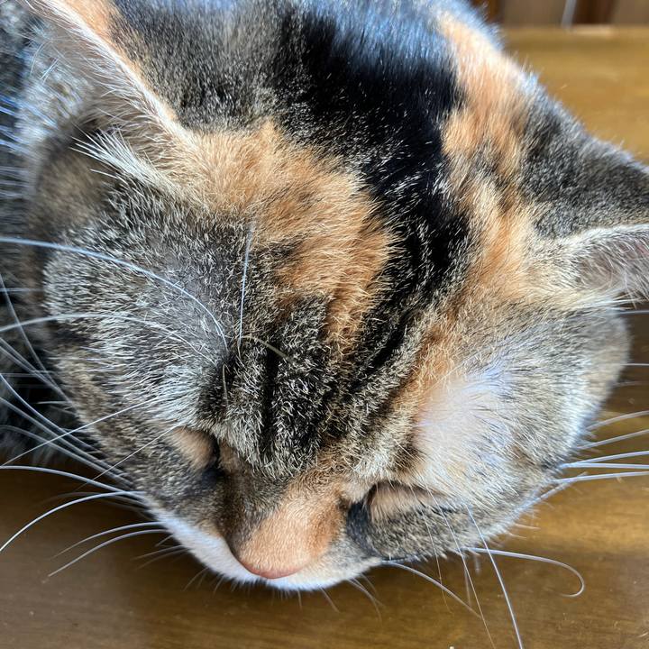 57e419d9 882a 4483 ae97 14c2da2c06b8 1760070793043