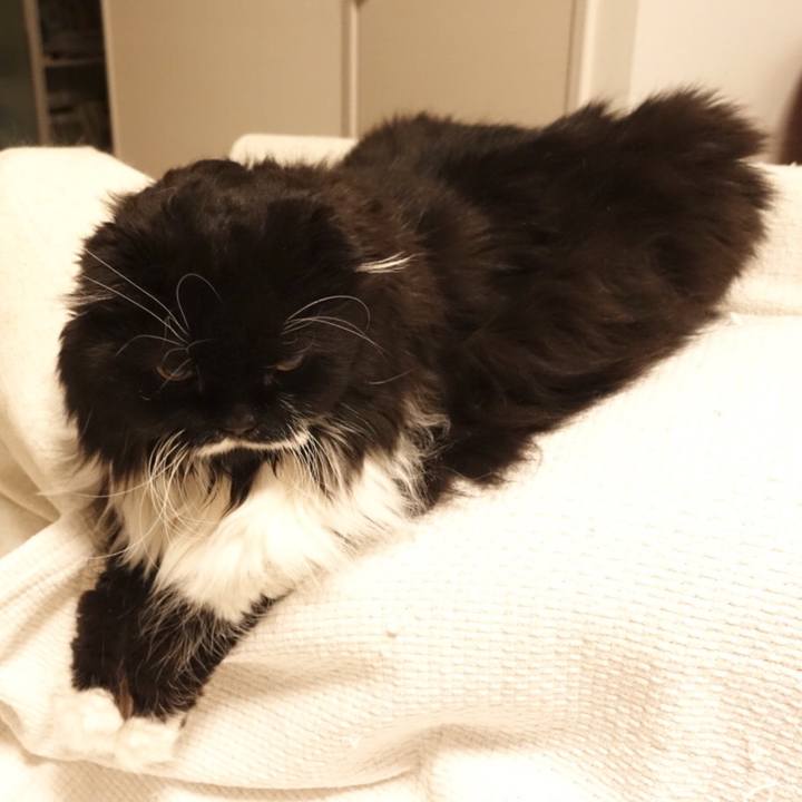 57e41ef4 058e 4c03 8fd1 4e39f93e8d80 1519523301622