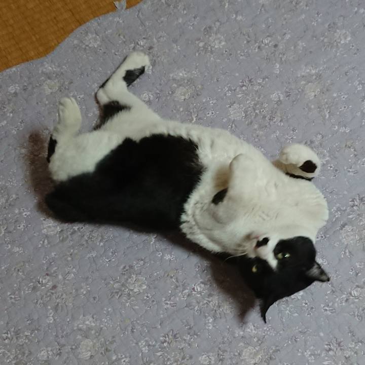 57e4354b b16e 4084 bffe e754f61f6f28 1549251827768