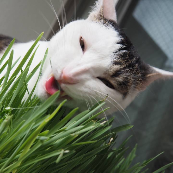 57e440fa 6118 46c3 b991 6f2c8aa30190 1532740183039