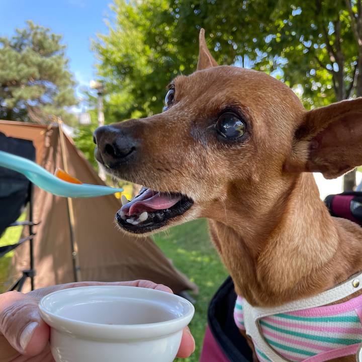 57e4488a 3a00 47c7 8c99 2edd60c3bd36 1692007499527