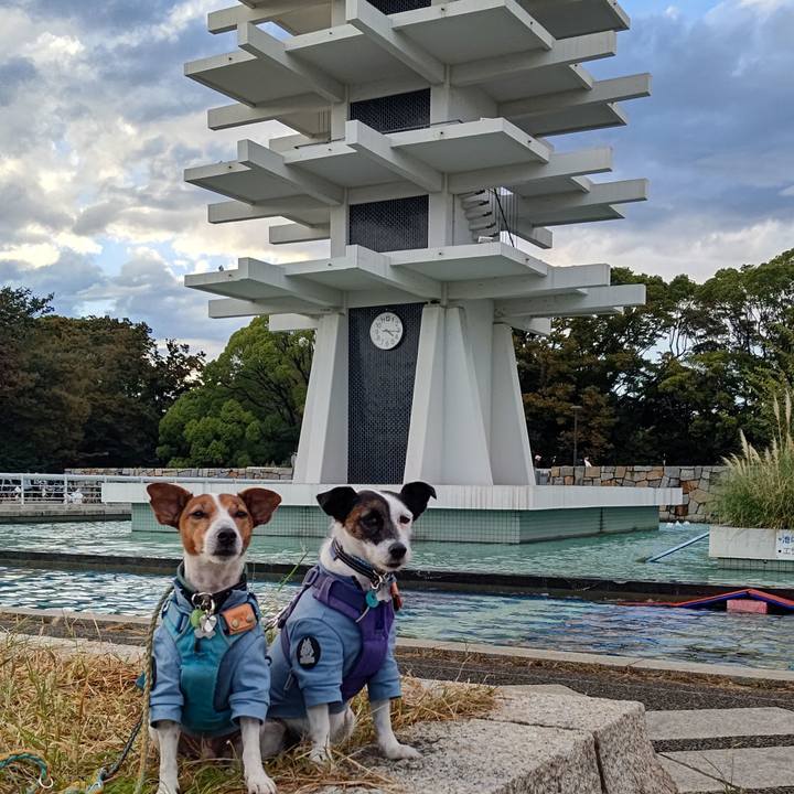 57e46d74 6b68 4c0d 81b7 75f02146b76a 1697370788634